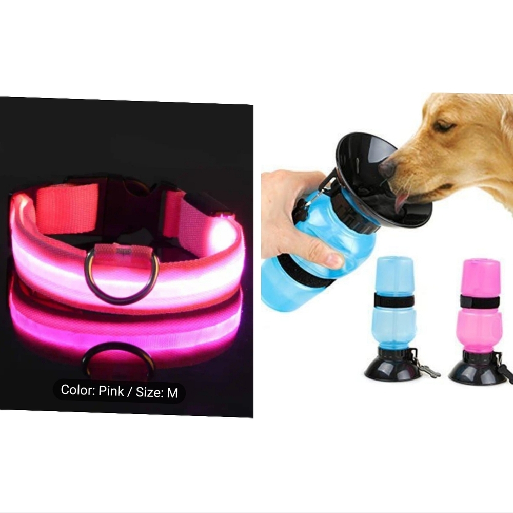 🆕️High Visibility pink dog collar and portable watering bottle